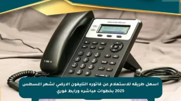 أسهل طريقة للاستعلام عن فاتورة التليفون الأرضي لشهر أغسطس 2025 بخطوات مباشرة ورابط فوري
